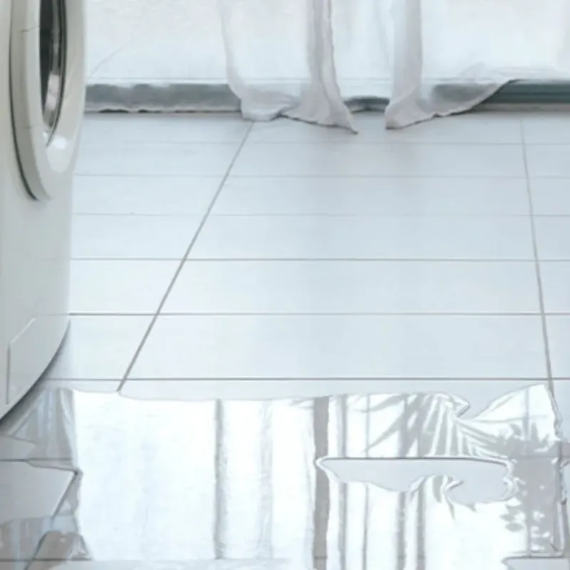 Appliance Leak Cleanup in Cheval, FL