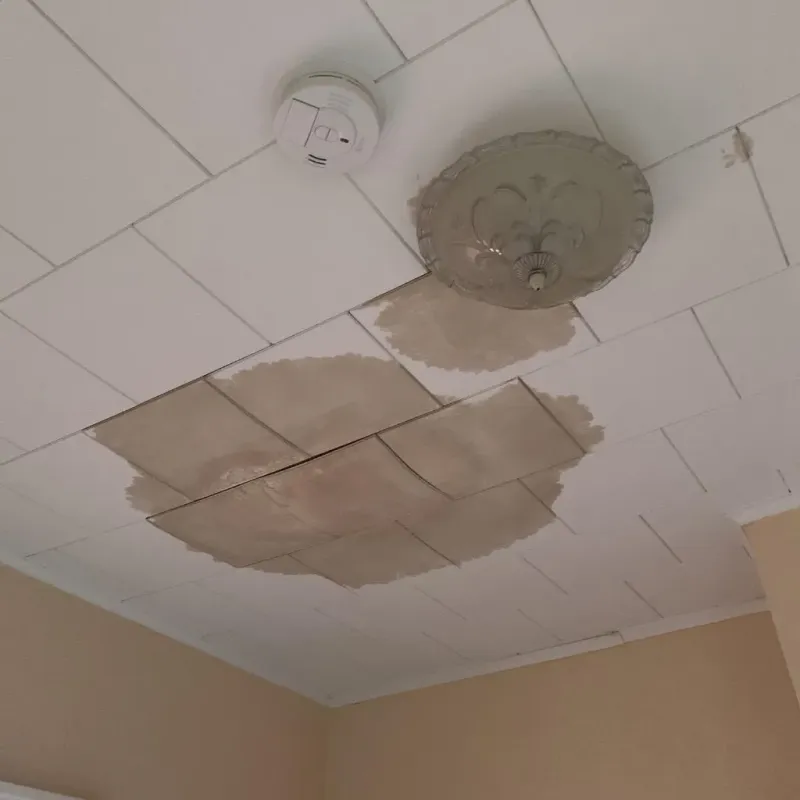Ceiling Water Damage Repair in Cheval, FL